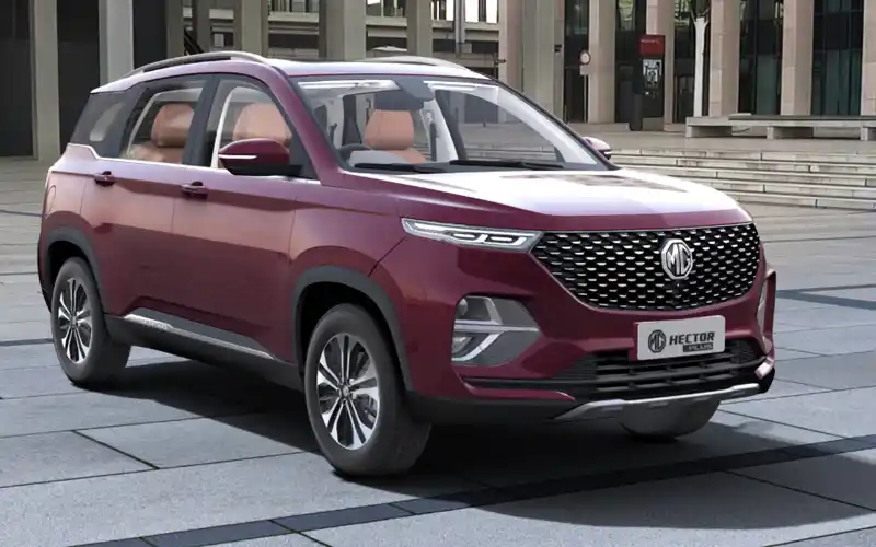 Hector Plus Burgundy Red